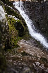 waterfall in the forest