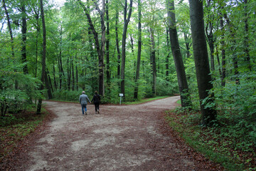 Obraz premium A couple of elderly people, returning to the crossroads in the park.