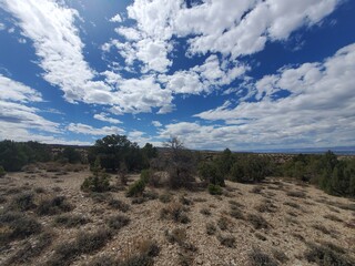 Colorado Landscape