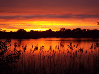 sunset over lake 2