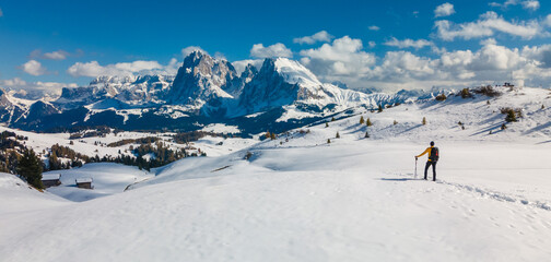 skier on the top of mountain looking at view Alpe di Siusi  Seiseralm Italian dolomites - obrazy, fototapety, plakaty