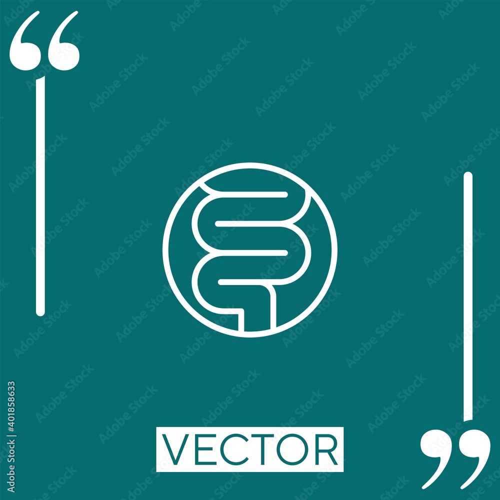 Poster intestines vector icon linear icon. editable stroke line