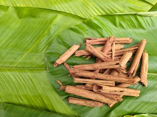 Tamales rojos