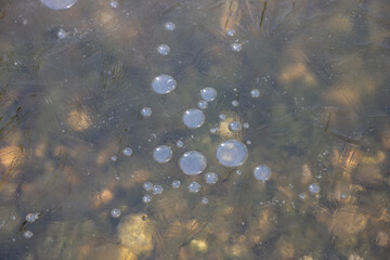 Ice Formations on frozen Upper Truckee River in the Tahoe Basin during Winter