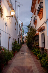 Fototapeta na wymiar narrow streets with flowers in the old town of marbella spain