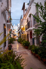 narrow streets with flowers in the old town of marbella spain