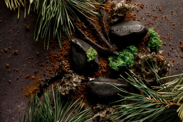 Close-up of exquisite molecular modern cuisine dish decorated with wooden sticks and pine branches.