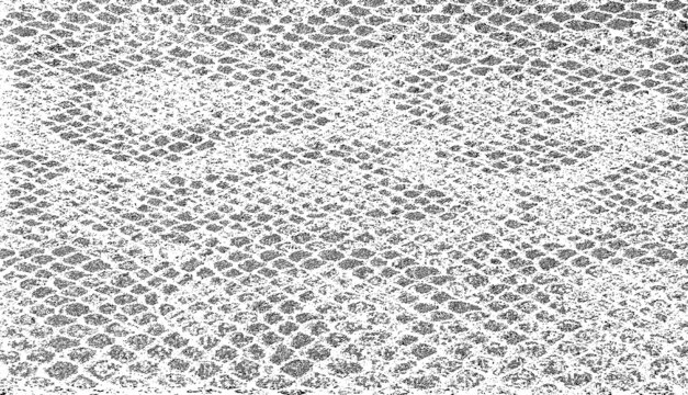 Seamless pattern of snake skin Royalty Free Vector Image