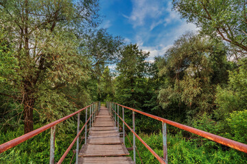 Fototapeta na wymiar Bridge over a river in the summer forest