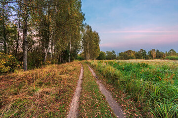 Fototapeta na wymiar Path in a summer field in sunset light