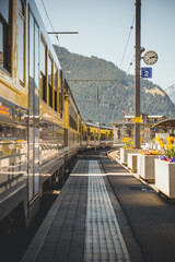 tram in the city