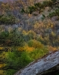 Obraz premium Autumn Color