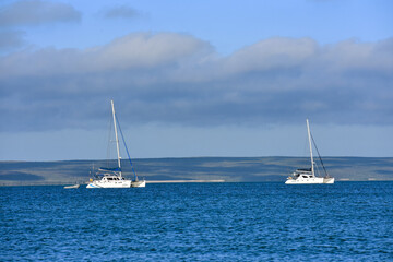 Fototapeta premium sailboat on the lagoon
