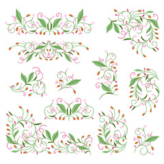Vector illustration. Elements with a graceful floral pattern.