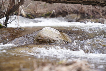stream close up, stream bed and water in autumn