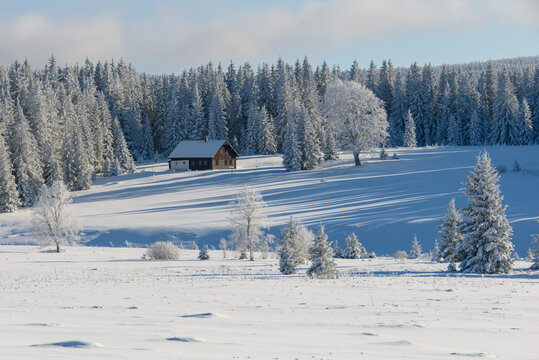 winter in Sumava National Park, Filipova Hut, Czechia
