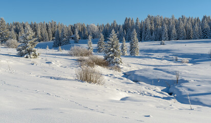 winter in Sumava National Park, Filipova Hut, Czechia