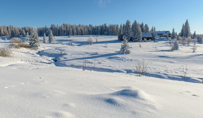 winter in Sumava National Park, Filipova Hut, Czechia
