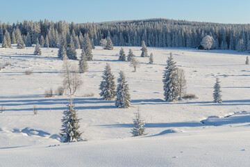 winter in Sumava National Park, Filipova Hut, Czechia