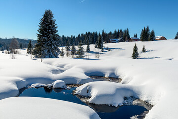 winter in Sumava National Park, Horska Kvilda village, Czechia