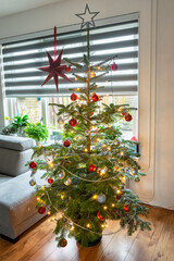 Fototapeta na wymiar Decorated christmas tree in the living room of a dutch house