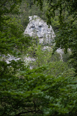 Fototapeta na wymiar A rock in the shape of a male face - Janosikova skala in Kvacianska valley, Liptov region, Slovakia