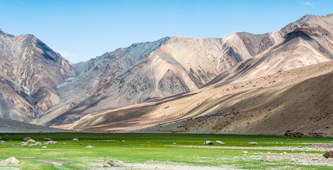 Panoramas of the Himalayas, North India, Ladakh and Kashmir, Zanskar, Tibet and the Tibetan plateau, alpine meadow in the mountains