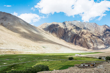 Fototapeta premium Panoramas of the Himalayas, North India, Ladakh and Kashmir, Zanskar, Tibet and the Tibetan plateau, alpine meadow in the mountains