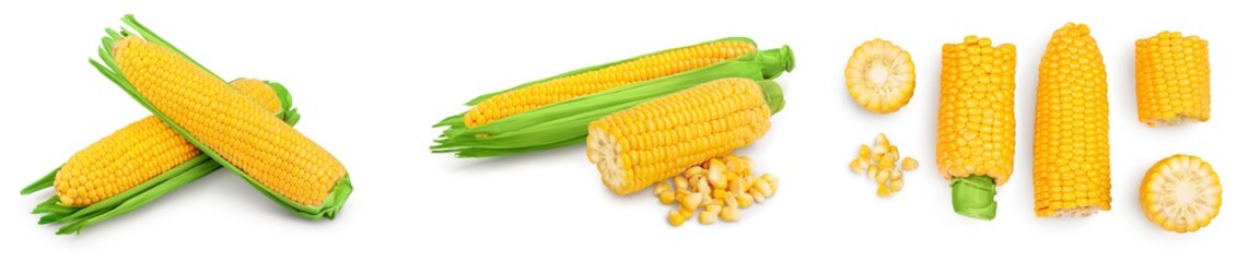 ear of corn isolated on a white background. Clipping path and full depth of field. Set or collection