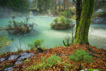 Turquoise lake water behind yellow and green autumn trees in Kamniska Bistrica, Slovenia, Europe © 24K-Production