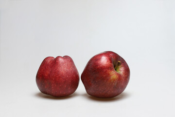 Two whole apple fruits next to each other, one sitting one laying from back on a white background