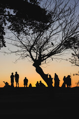 Fototapeta premium family at sunset