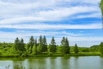 Fototapeta na wymiar rustic peaceful nature landscape environment space with pond lake reservoir and trees waterfront in spring clear weather day time