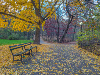 Autumn in Central Park