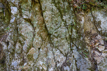 rock texture close up with green moss and roots. High quality cracked boulder, fractured