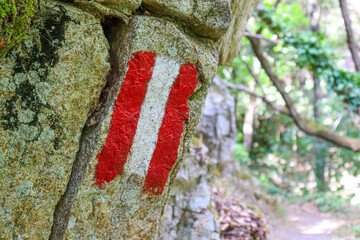 rock with red and white mark close up with green moss and roots. High quality cracked boulder,...