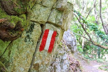 rock with red and white mark close up with green moss and roots. High quality cracked boulder,...