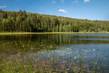 Fototapeta na wymiar beautiful forest lake