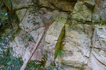 rock texture close up with green moss and roots. High quality cracked boulder, fractured