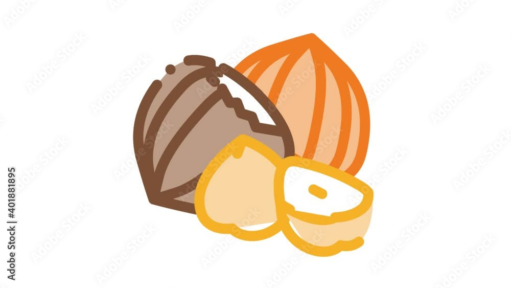 Sticker hazelnut nut Icon Animation. color hazelnut nut animated icon on white background