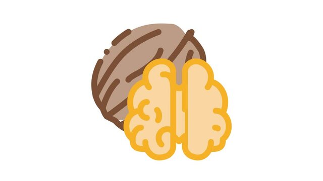 walnut nut Icon Animation. color walnut nut animated icon on white background