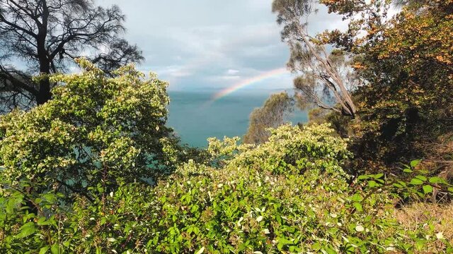 rainbow and stormy skies surroundd by a pristine wild landscape at Boronia Beach Track in Tasmania, Australia with lush vegetation