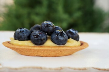 blueberry tart on a plate