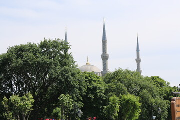 SOFIA ENTRE JARDINES