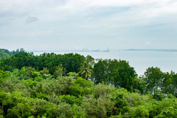 Fototapeta na wymiar the sea and rain forest view from Jejawi Tower of Chek Jawa Wetland of Pulau Ubin island Singapore. The background is Malaysia. 