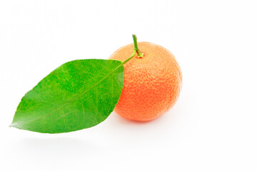 Sweet and delicious orange photography