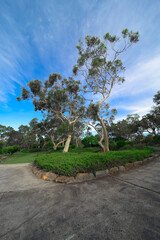 Residential house in Dural a country suburb in Sydney NSW Australia with lush green trees and grass 