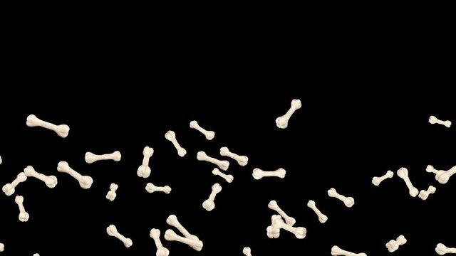Flying many bones on black background. Dog bone icon. Pet food. 3D animation of bones rotating. Loop animation.