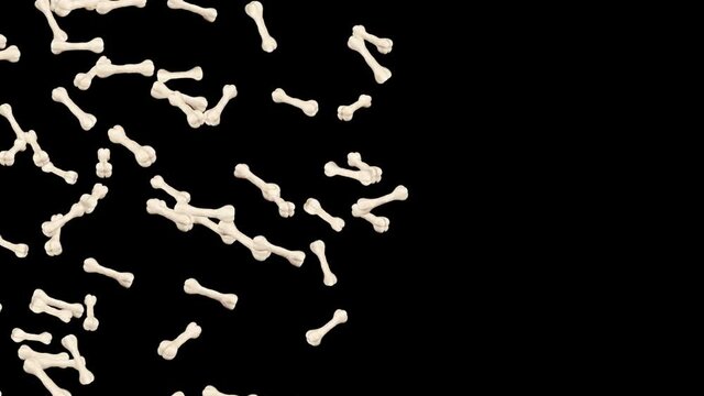 Flying many bones on black background. Dog bone icon. Pet food. 3D animation of bones rotating. Loop animation.
