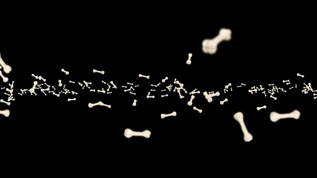 Flying many bones on black background. Dog bone icon. Pet food. 3D animation of bones rotating. Loop animation.